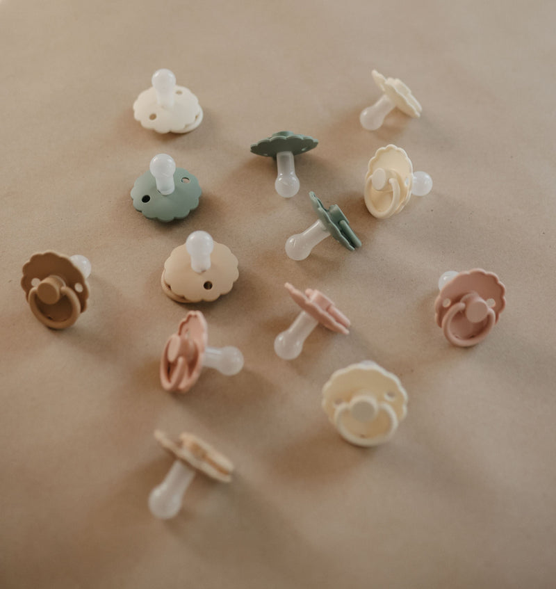 Čiulptukai ir priedai