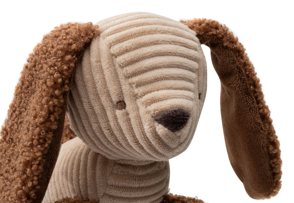 Vežimėlio pakabinamas žaisliukas „Diego Dog“
