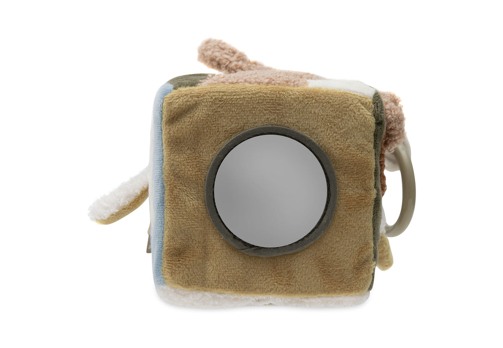 Lavinamasis kubas, įvairiaspalvis