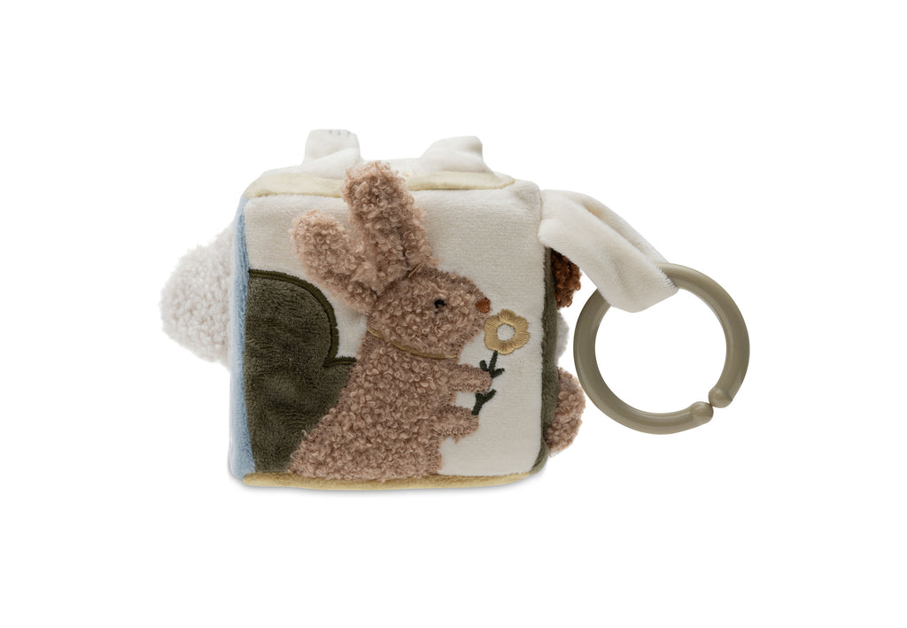 Lavinamasis kubas, įvairiaspalvis