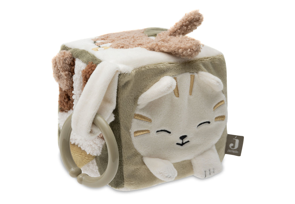 Lavinamasis kubas, įvairiaspalvis