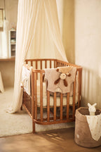 Čiulptuko skarelė, įvairiaspalvis