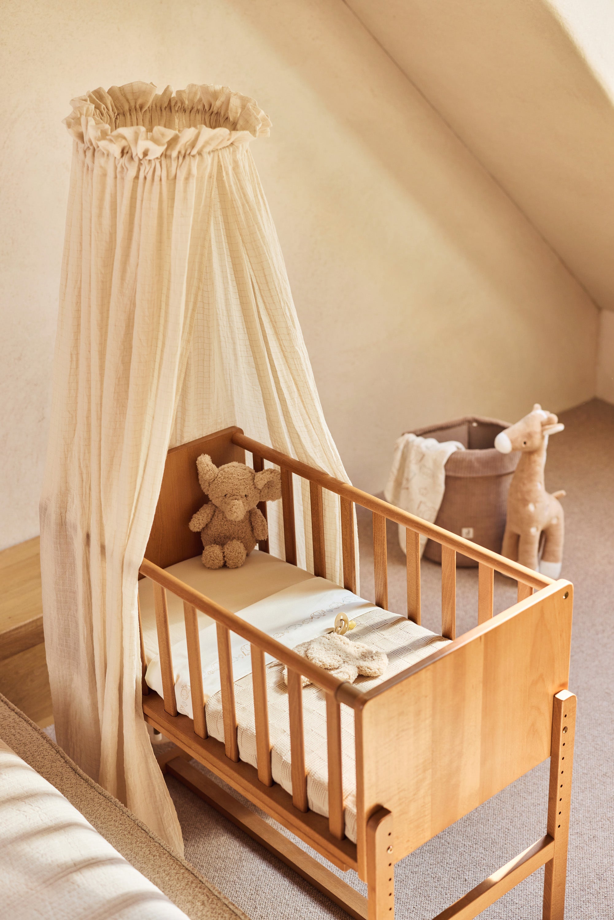 Čiulptuko skarelė, įvairiaspalvis