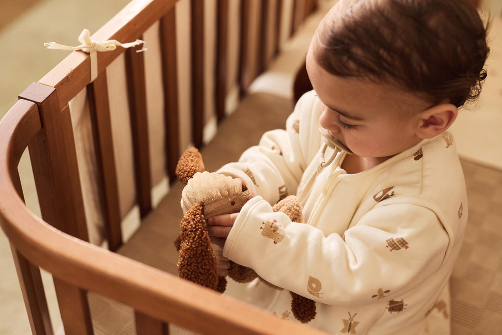 Čiulptuko skarelė, įvairiaspalvis