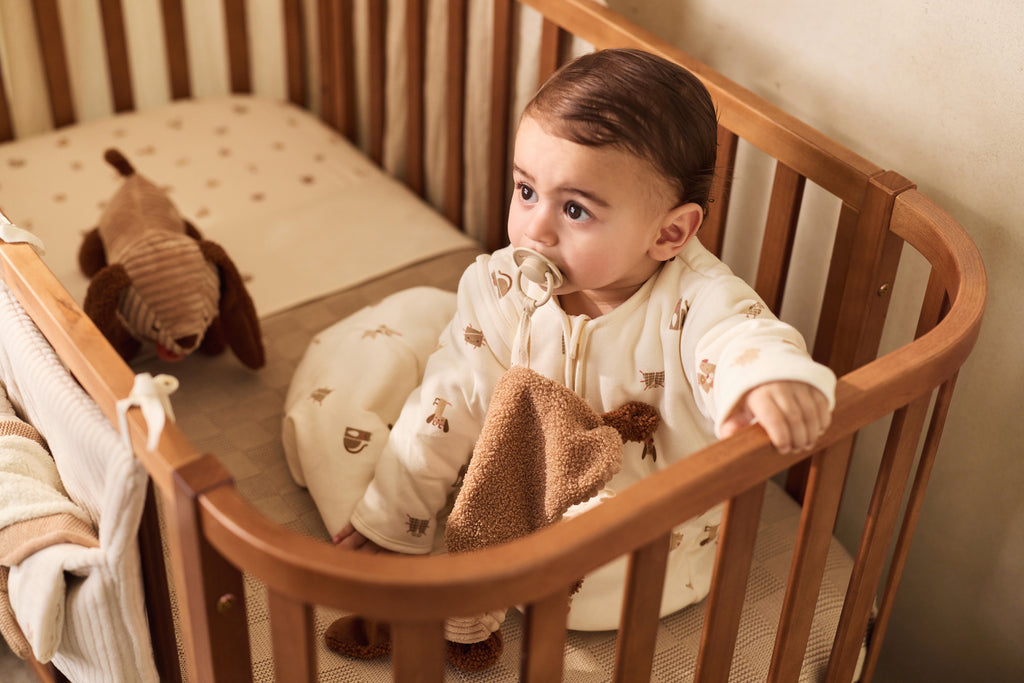 Čiulptuko skarelė, įvairiaspalvis