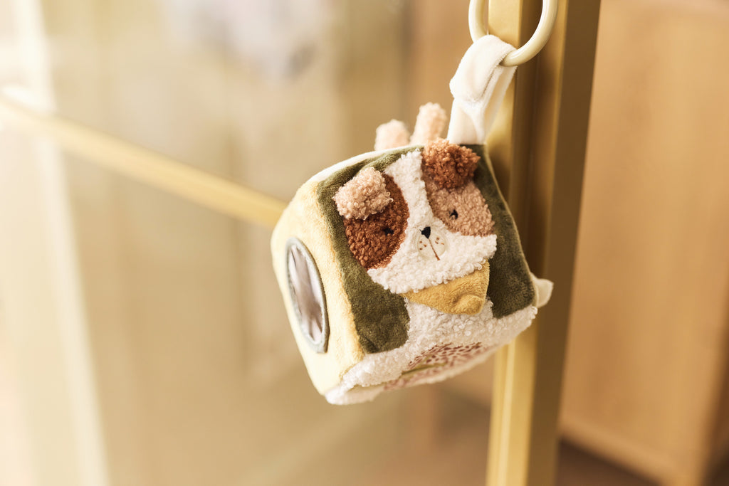 Lavinamasis kubas, įvairiaspalvis