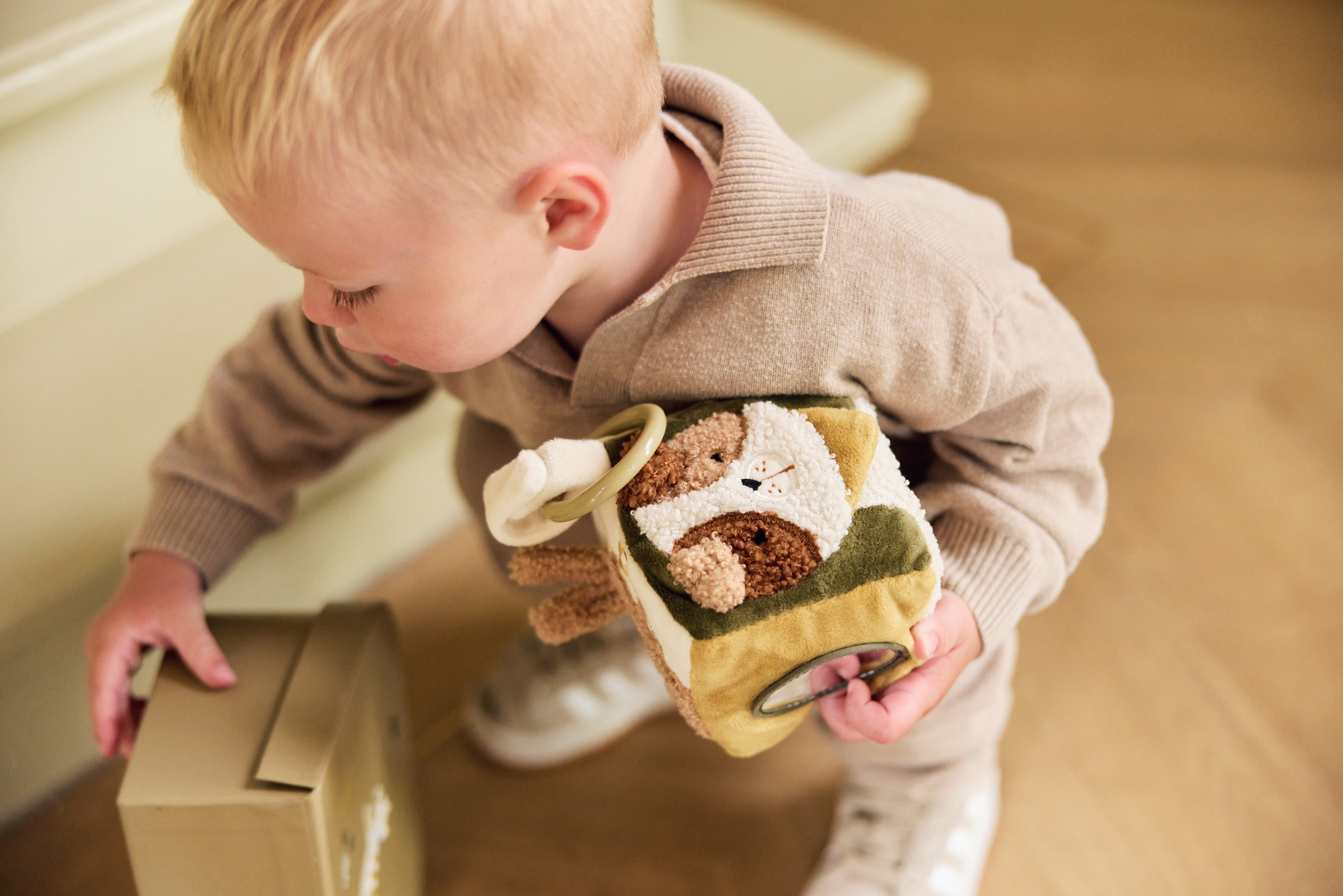 Lavinamasis kubas, įvairiaspalvis