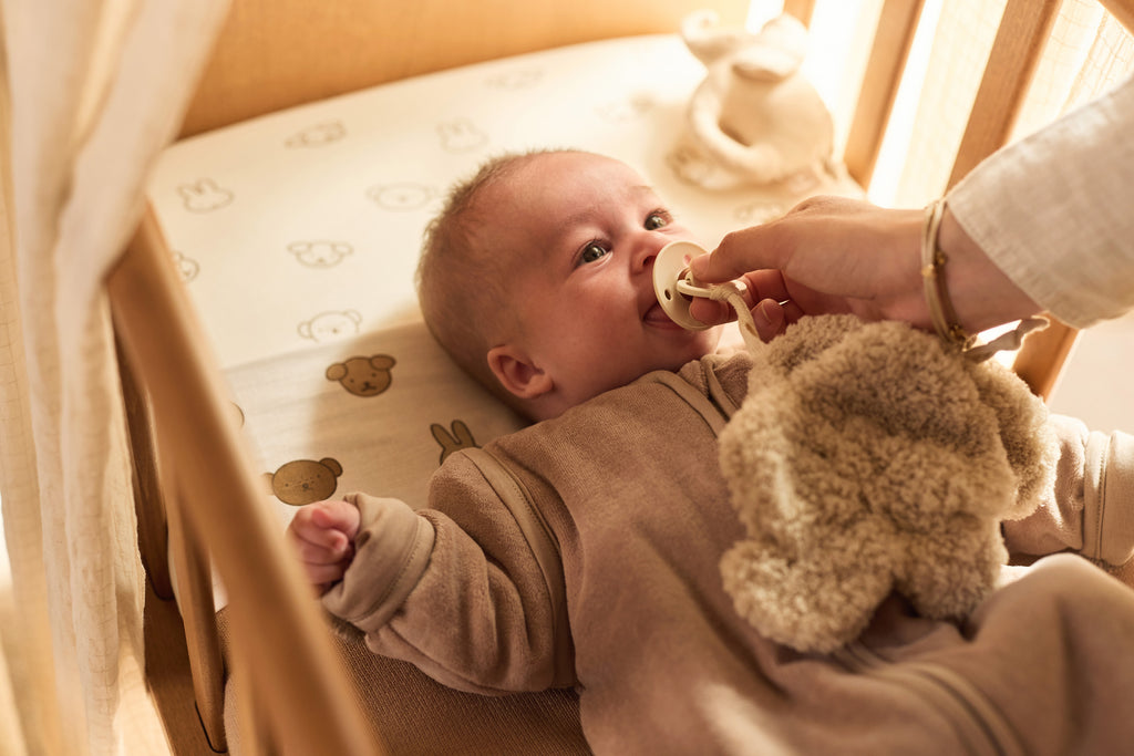 Čiulptuko skarelė, įvairiaspalvis