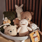 Aktyvumo žaislas - Pavasarinė kiemo antis