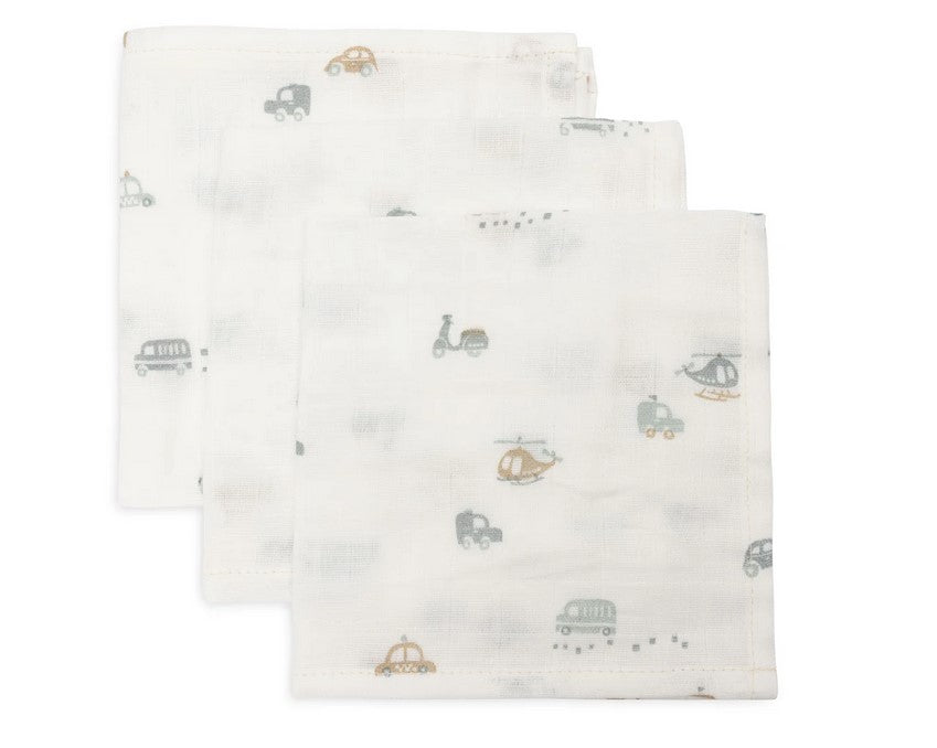 Muslino šluostės burnytei 31×31cm, 3 vnt., įvairiaspalvis