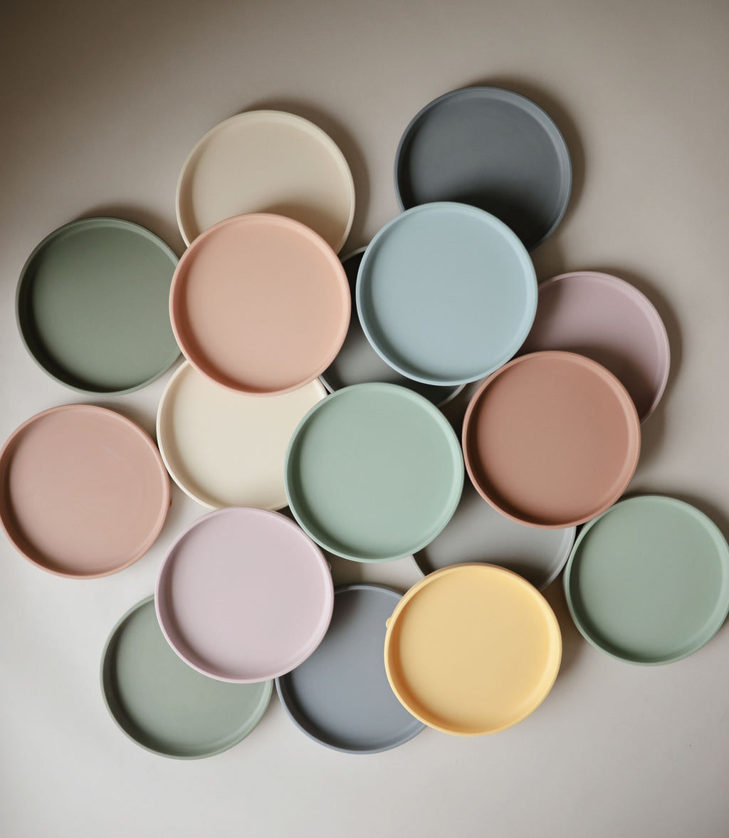 Klasikinė silikoninė lėkštė „Classic Suction Plate“ – Stone